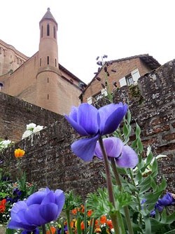 La Catedral de Santa Cecília des del Palau de la Berbie, seu del Museu Toulouse-Lautrec