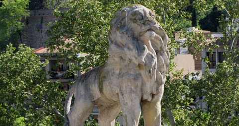 El lleó vist des de la seva alçada