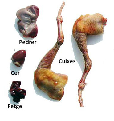 Parts d'un colomí