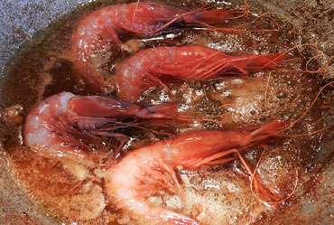 Les gambes