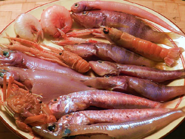 Peix per fregir