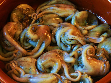 Saltejant els pops al principi