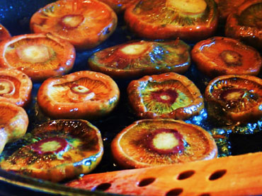 Saltant els pinetells i rovellons