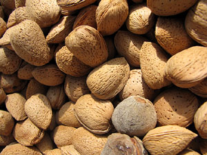 Ecocab&agrave;s, mercat ecol&ograve;gic i artesanal