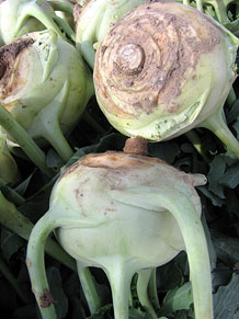 Ecocab&agrave;s, mercat ecol&ograve;gic i artesanal