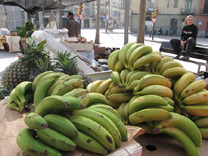 Ecocab&agrave;s, mercat ecol&ograve;gic i artesanal