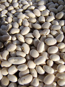 Ecocab&agrave;s, mercat ecol&ograve;gic i artesanal