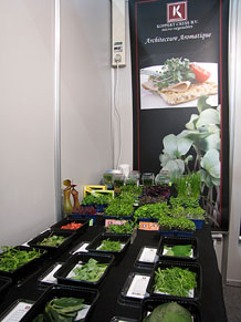 F&ograve;rum Gastron&ograve;mic 2013