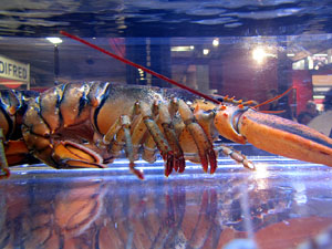 F&ograve;rum Gastron&ograve;mic 2013