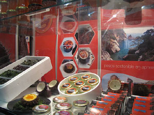 F&ograve;rum Gastron&ograve;mic 2013