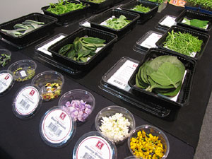 F&ograve;rum Gastron&ograve;mic 2013