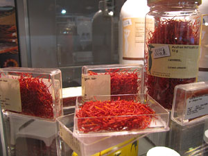 F&ograve;rum Gastron&ograve;mic 2013