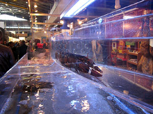 F&ograve;rum Gastron&ograve;mic 2013