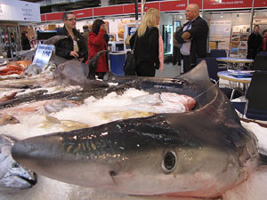 F&ograve;rum Gastron&ograve;mic 2013