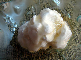 Bubbles Gastrobar. Recuit amb mel