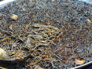 7a Jornada de Cuina al Carrer Cort Reial i 