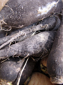 Ecocab&agrave;s, mercat ecol&ograve;gic i artesanal