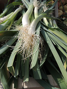 Ecocab&agrave;s, mercat ecol&ograve;gic i artesanal