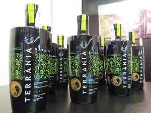 Firatast 2014 a Fira de Girona