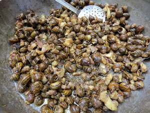 Firatast 2014 a Fira de Girona