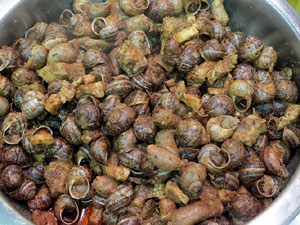 Firatast 2014 a Fira de Girona