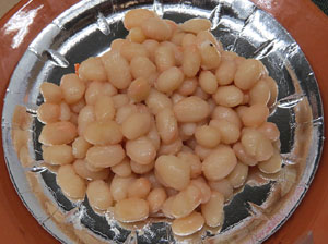 Firatast d'estiu 2014 a Fira de Girona