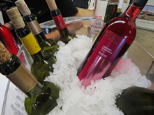 Firatast d'estiu 2014 a Fira de Girona