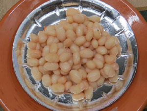 Firatast d'estiu 2014 a Fira de Girona