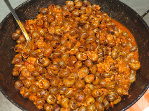 Firatast 2015 a Fira de Girona