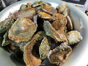 Firatast 2015 a Fira de Girona