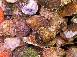 Firatast 2015 a Fira de Girona