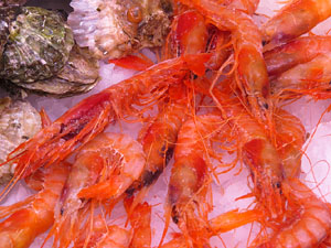 Firatast 2015 a Fira de Girona