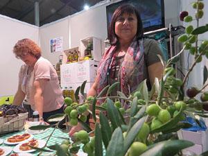 Firatast 2015 a Fira de Girona