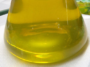 Esdeveniments gastron&ograve;mics. Firatast 2016 a Fira de Girona