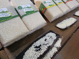 F&ograve;rum Gastron&ograve;mic 2015 a Fira de Girona i a l'Auditori Palau de Congressos