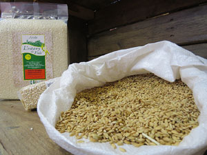 F&ograve;rum Gastron&ograve;mic 2015 a Fira de Girona i a l'Auditori Palau de Congressos