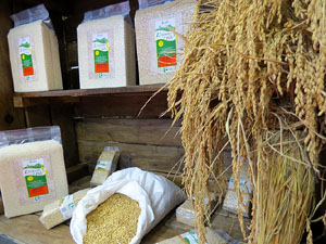 F&ograve;rum Gastron&ograve;mic 2015 a Fira de Girona i a l'Auditori Palau de Congressos