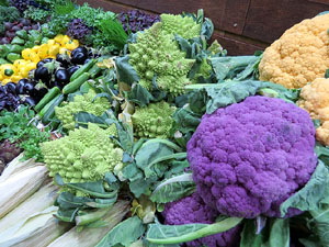 F&ograve;rum Gastron&ograve;mic 2015 a Fira de Girona i a l'Auditori Palau de Congressos