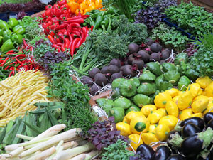 F&ograve;rum Gastron&ograve;mic 2015 a Fira de Girona i a l'Auditori Palau de Congressos