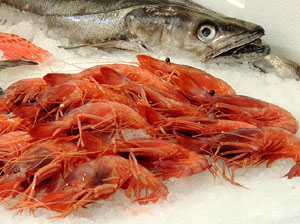 Fòrum Gastronòmic 2015 a Fira de Girona i a l'Auditori Palau de Congressos