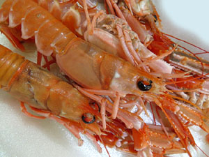 F&ograve;rum Gastron&ograve;mic 2015. Concurs d'arrossos