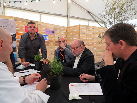 Les deliberacions del jurat