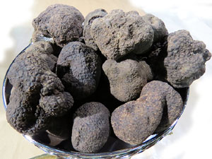 IX Jornades gastron&ograve;miques de la t&ograve;fona 2015