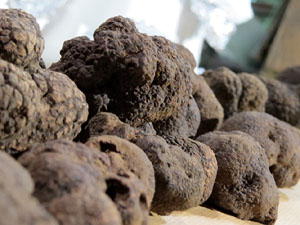 IX Jornades gastron&ograve;miques de la t&ograve;fona 2015