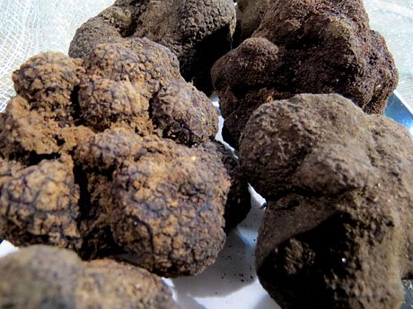 X Jornades gastronòmiques de la tòfona 2016