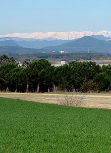 El Pirineu nevat des de Campllong