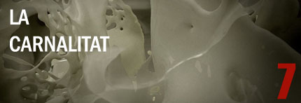 La carnalitat