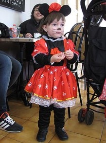 Carnestoltes 2014 al Mercat del Lle&oacute; de Girona