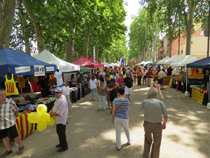 Jornades Catalunya, llibertat i dignitat. Macrosardana, concerts, fira independentista
