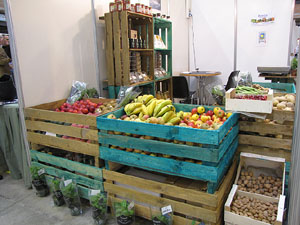 Eco.Si 2014. Fira de la cultura ecol&ograve;gica de Girona